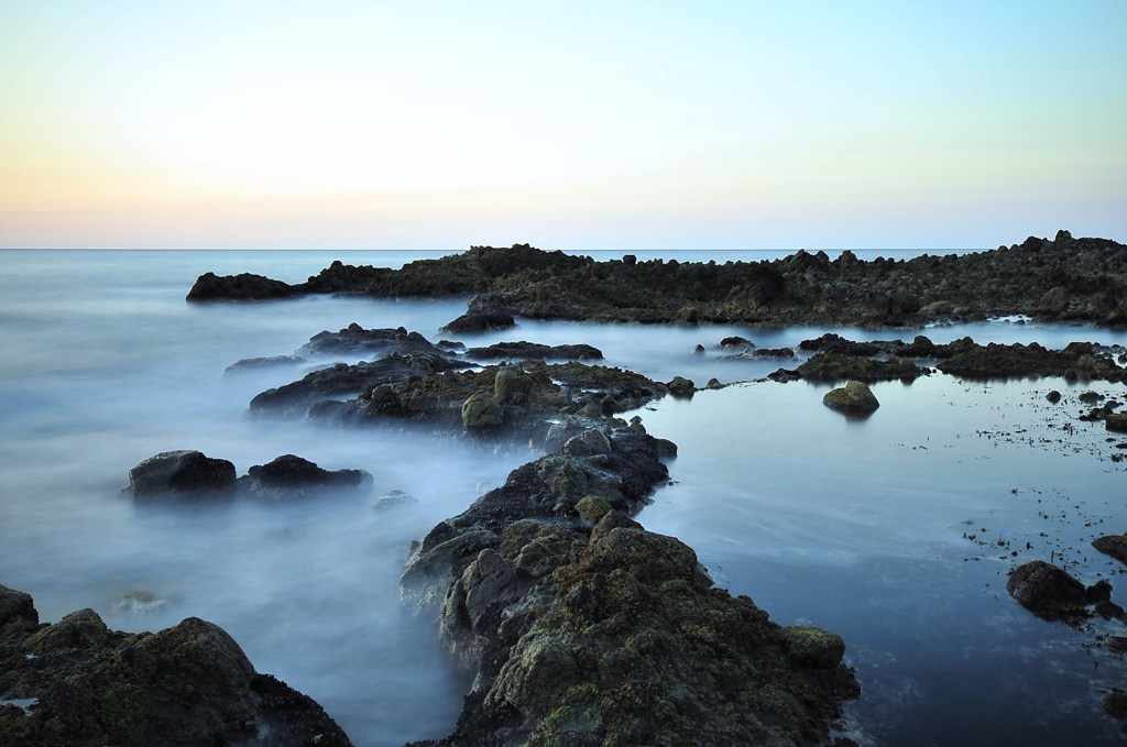 Tide pool