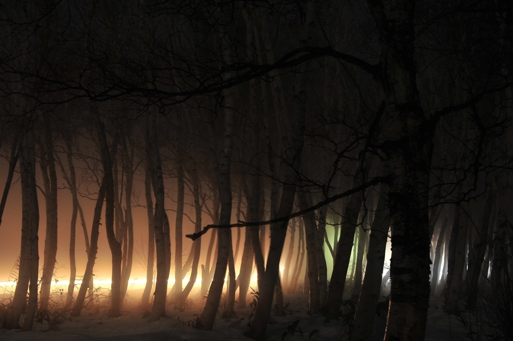 夜霧の交差点　 Night fog intersection