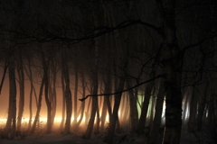 夜霧の交差点　 Night fog intersection