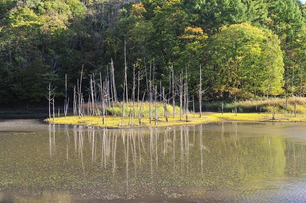 月光池の晩秋