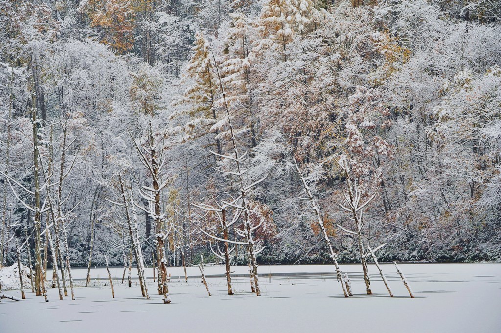 泉のほとりは冬が好き。雪があの人を連れてくるから