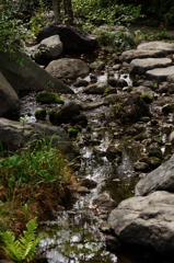 IMGP2688