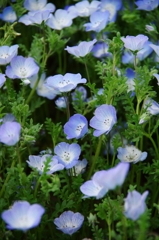 IMGP2872