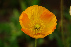 IMGP2801