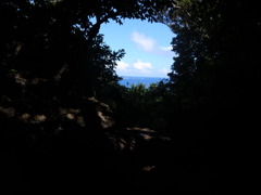 緑の窓
