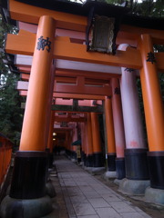 千本鳥居