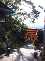 頂上からの景色