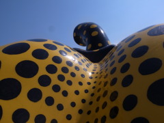 piece