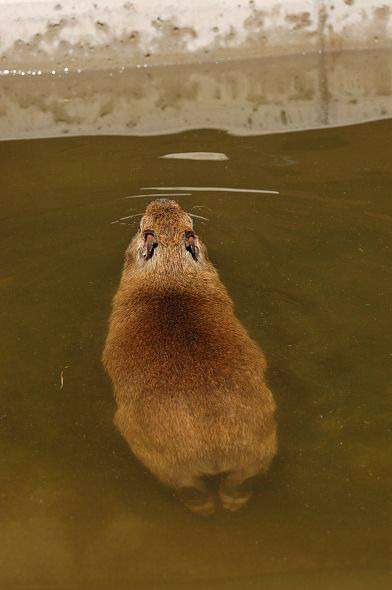 足がカワイイ