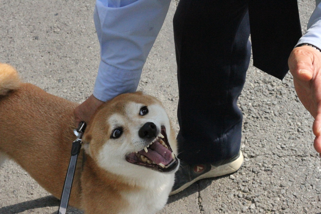 ひゃぁ捕まった！