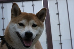 笑顔