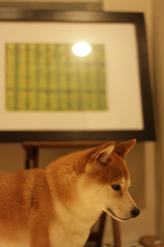 何思う
