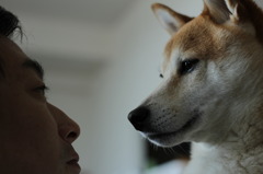 アイコンタクト
