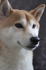 気配