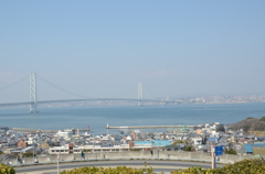DSC_1654