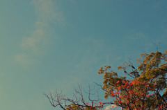 秋季の高空