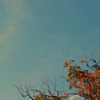 秋季の高空