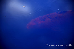 The surface and depth