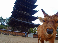 近すぎっ！