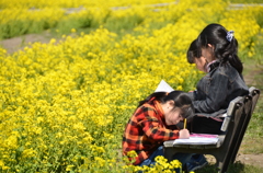 菜の花畑で・・・