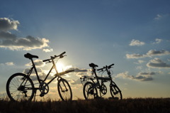 自転車(私のと妻の)