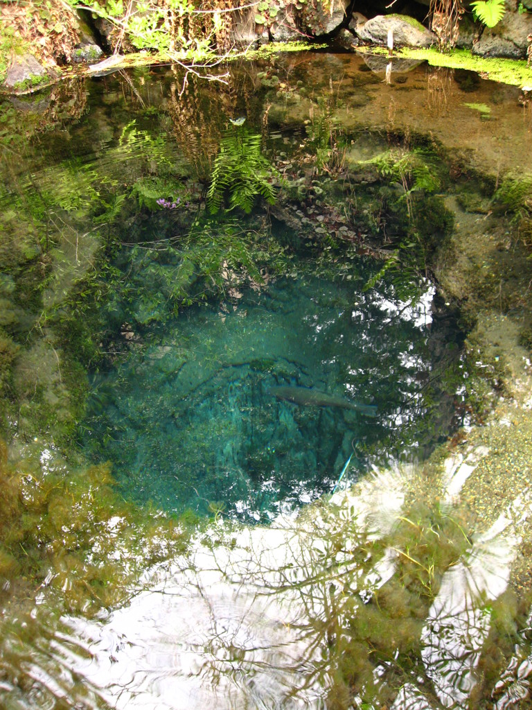 風景12