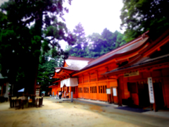風景13
