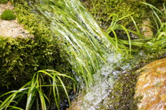湧水3