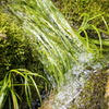 湧水3