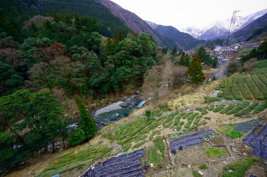 風景3