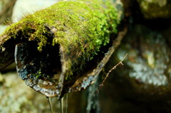 湧水2