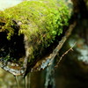 湧水2