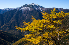 秋・仙丈岳