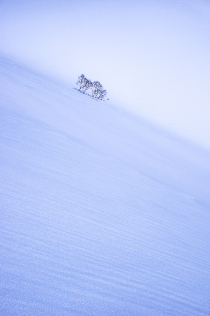 風雪に耐えて