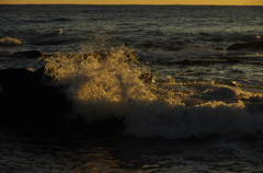 朝の海(4)