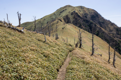 緑の山