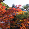 京の秋　4