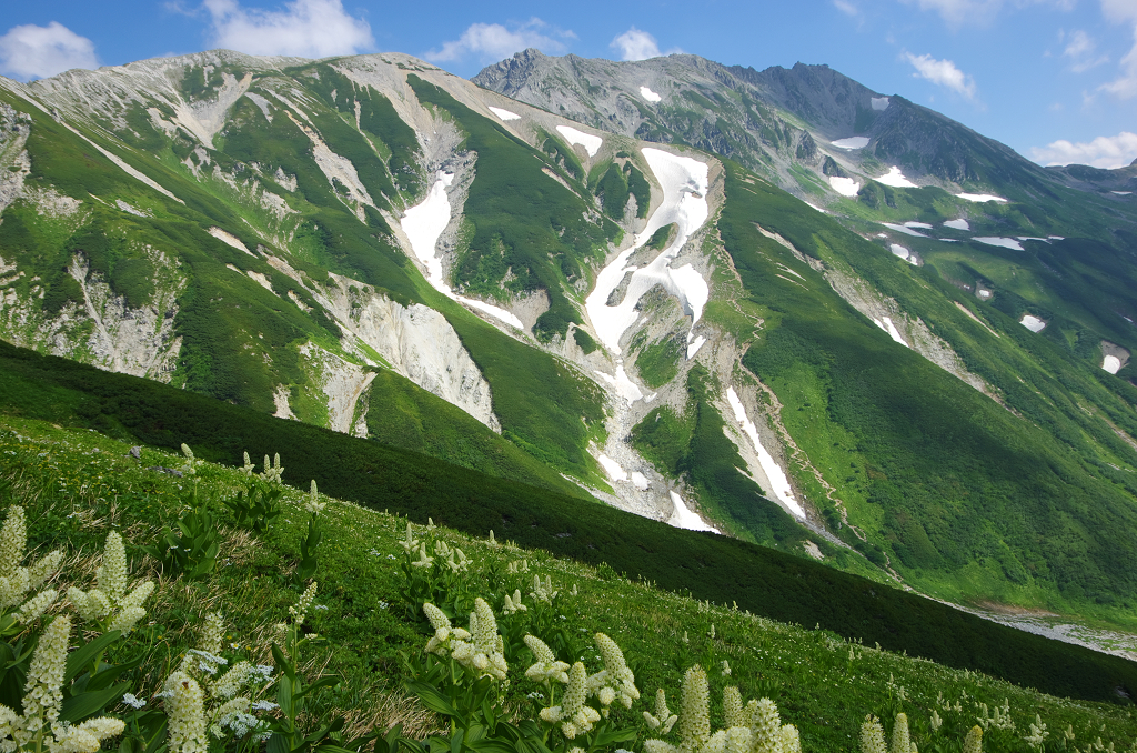 立山雄姿