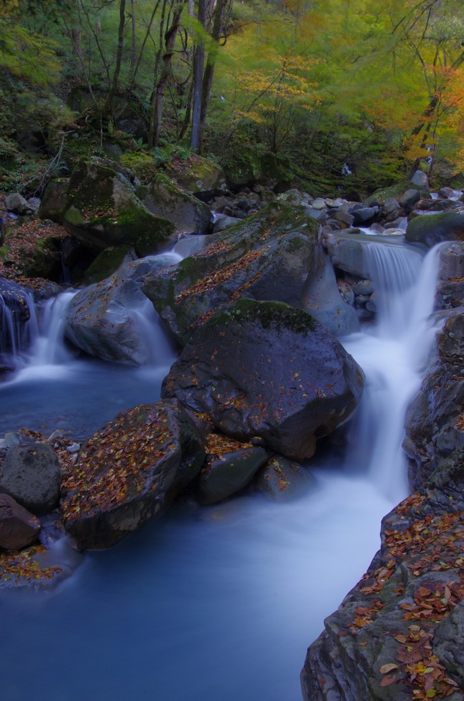 枯葉山水