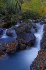 枯葉山水