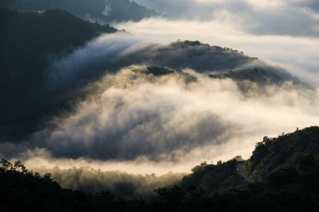 光雲