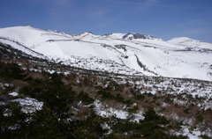 長閑な山