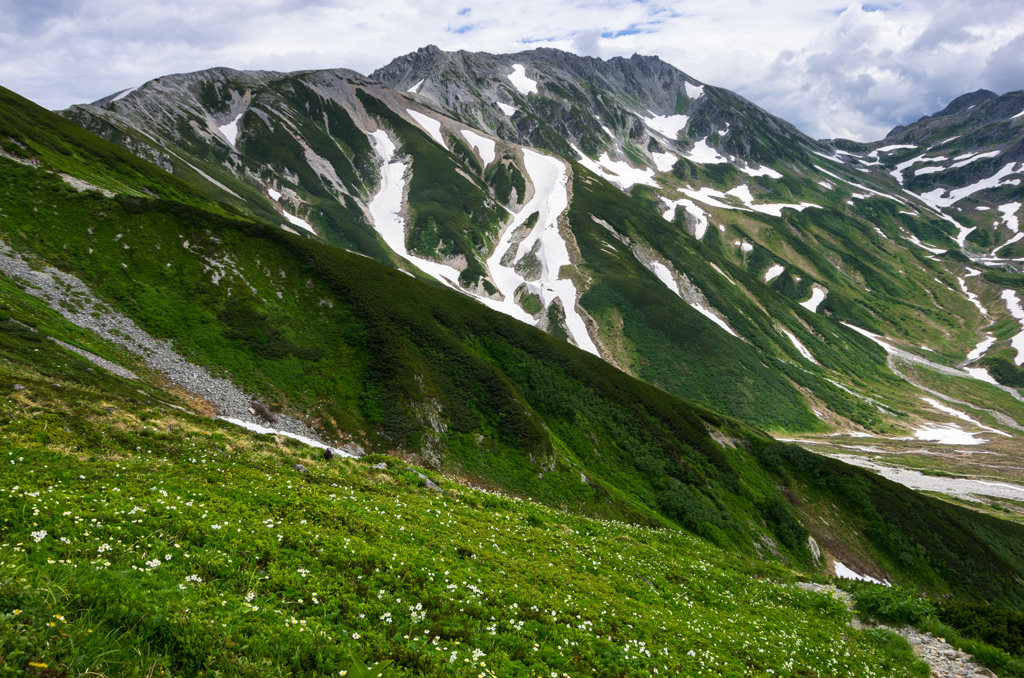 盛夏・立山（Ⅱ）