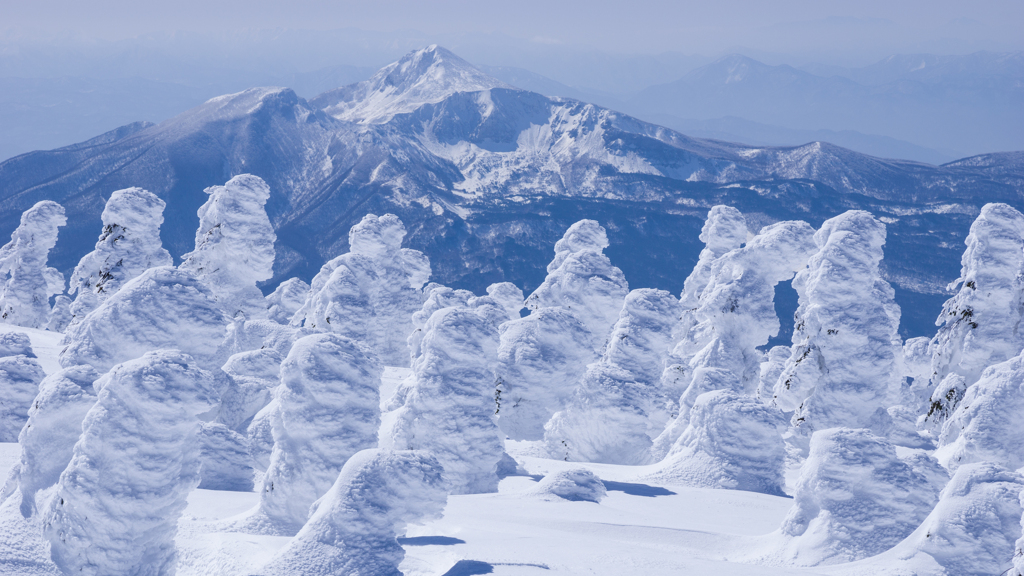 宝の山