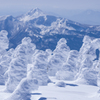 宝の山