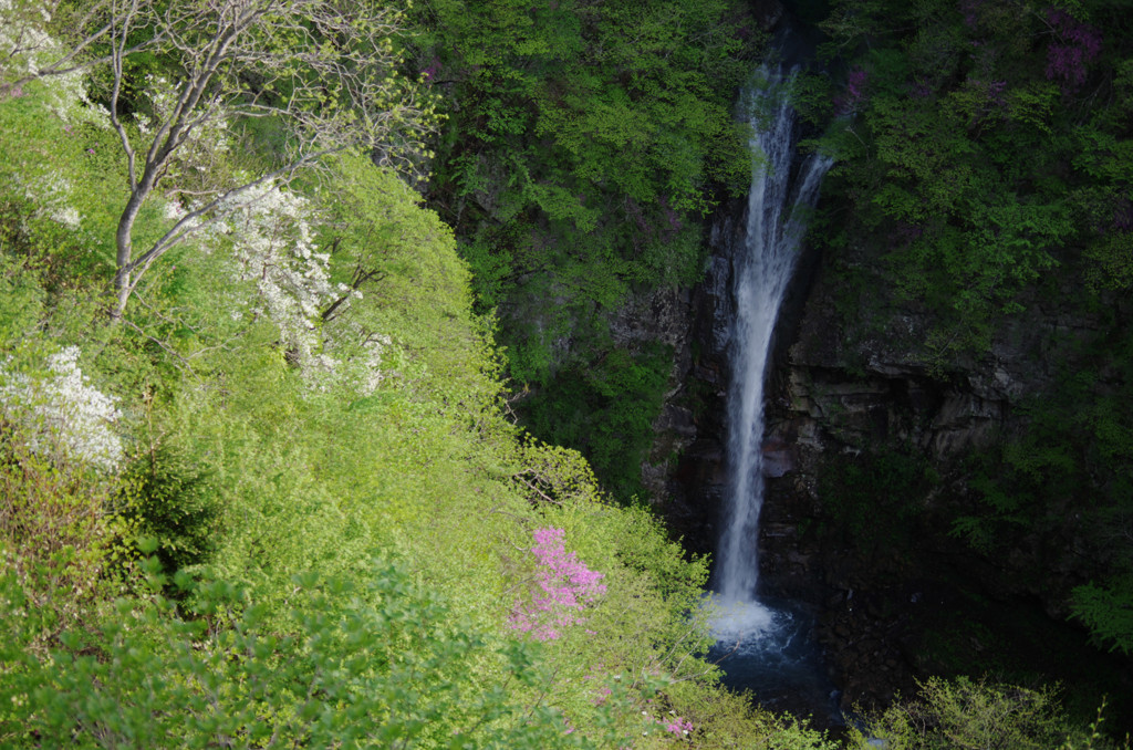 駒止めの滝