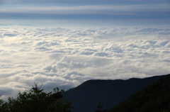 雲海