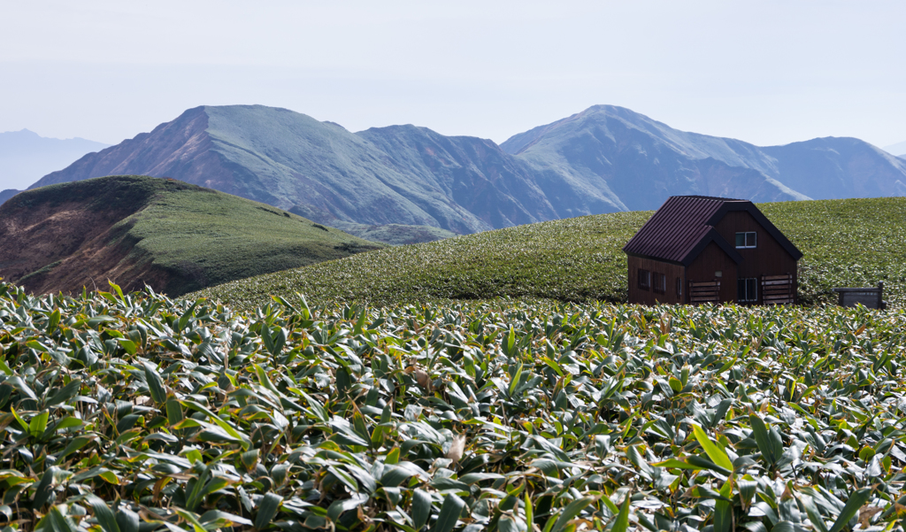 山小屋のある風景