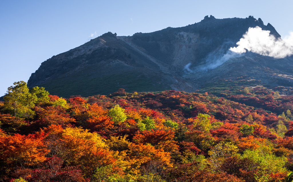 茶臼岳八景　Ⅸ