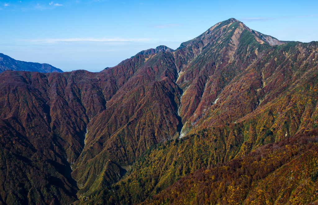 秋の山